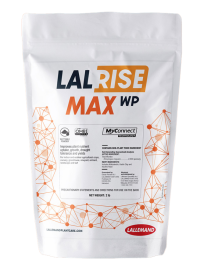 LALRISE MAX WP
